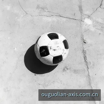 慕尼黑安联球场 - 德国国家队欧国联主场